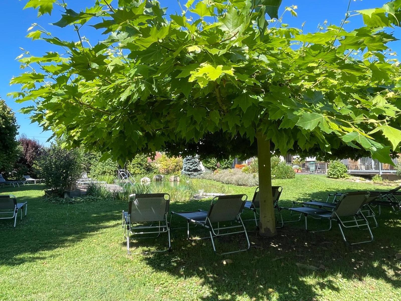 Hotel Weinresidenz Sonnleitner - Adults Only Furth bei Gottweig Exterior foto