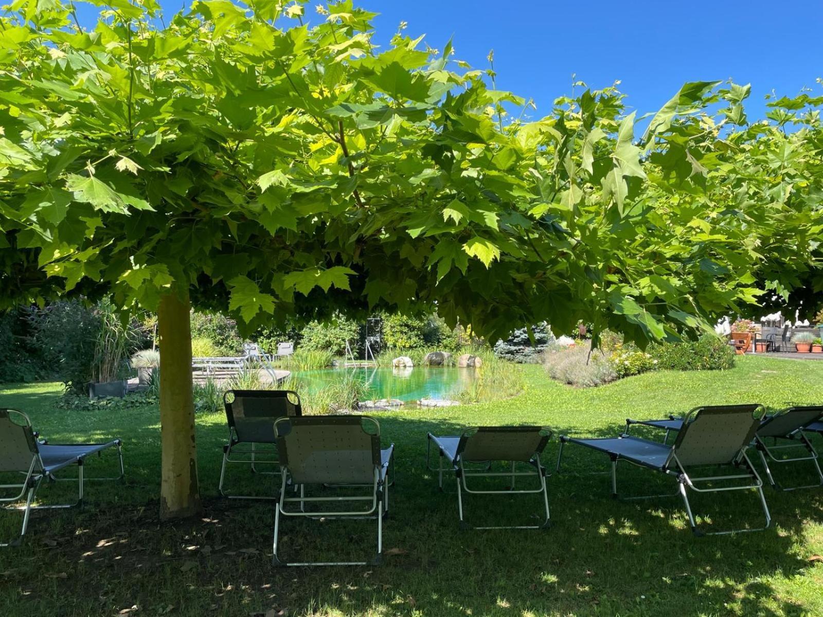 Hotel Weinresidenz Sonnleitner - Adults Only Furth bei Gottweig Exterior foto